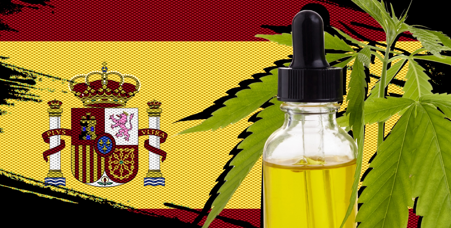 España Aprueba el Uso Medicinal del Cannabis (Pero Solo en Hospitales) España Aprueba el Uso Medicinal del Cannabis (Pero Solo en Hospitales)
