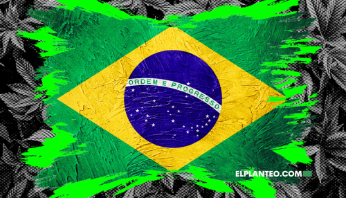 Más Maconha, Por Favor: 66% de los Brasileros Apoya el Cannabis Medicinal Más Maconha, Por Favor: 66% de los Brasileros Apoya el Cannabis Medicinal