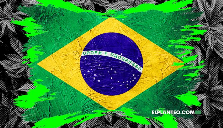 Más Maconha, Por Favor: 66% de los Brasileros Apoya el Cannabis Medicinal
