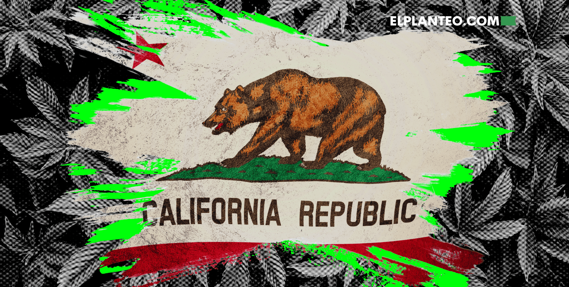 ¿Por Fin un Alivio? Bajan los Impuestos al Cannabis en California… Por Ahora ¿Por Fin un Alivio? Bajan los Impuestos al Cannabis en California… Por Ahora