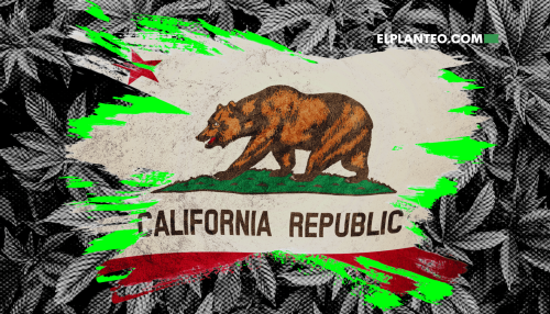 ¿Por Fin un Alivio? Bajan los Impuestos al Cannabis en California… Por Ahora