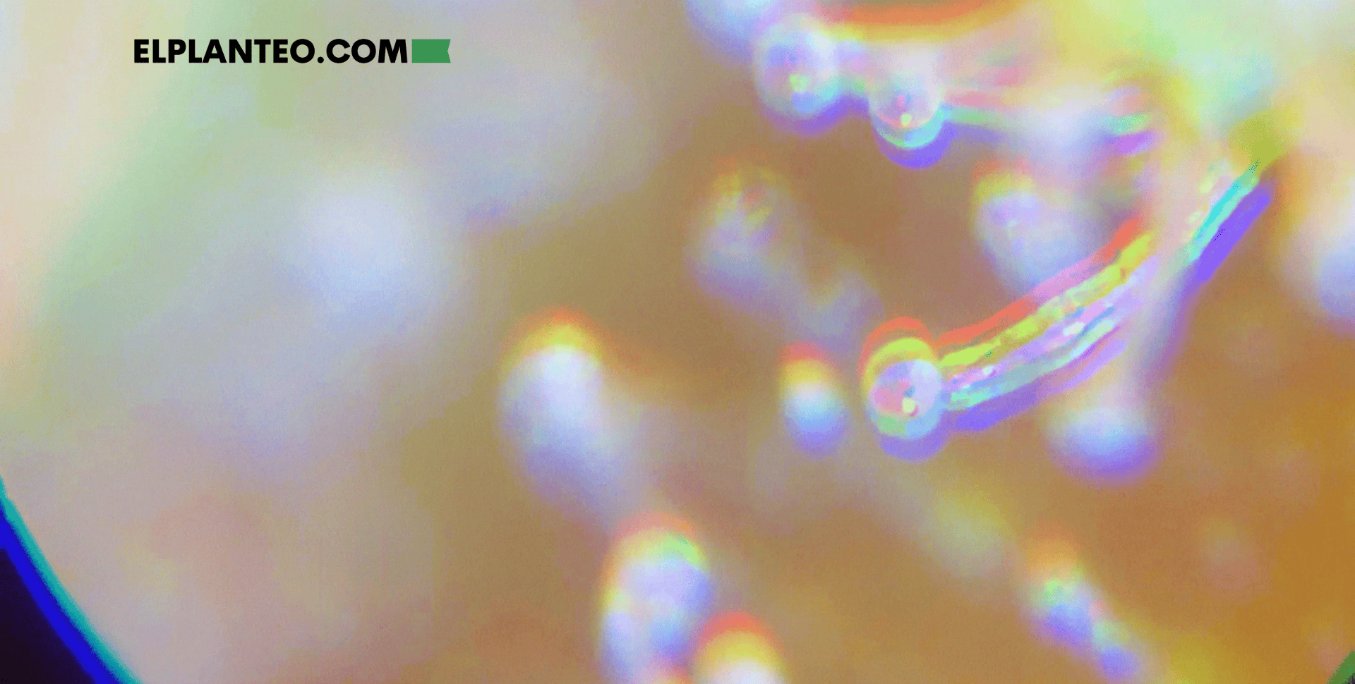 Cannabinoides Diméricos: ¿Qué Aplicaciones Médicas Tienen Compuestos Nuevos como Cannabisol, Cannabizetol y Cannabitwinol?