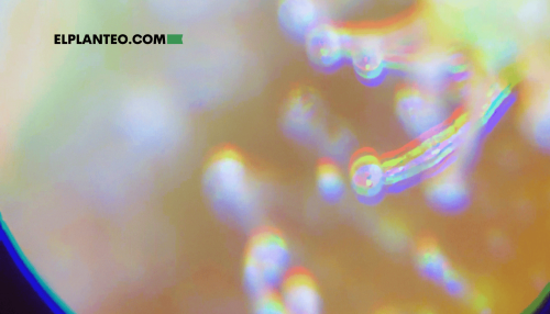 Cannabinoides Diméricos: ¿Qué Aplicaciones Médicas Tienen Compuestos Nuevos como Cannabisol, Cannabizetol y Cannabitwinol? Cannabinoides Diméricos: ¿Qué Aplicaciones Médicas Tienen Compuestos Nuevos como Cannabisol, Cannabizetol y Cannabitwinol?