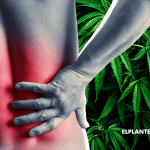 Cannabis Contra el Dolor Lumbar: Otro Estudio lo Posiciona como Alternativa a los Opioides