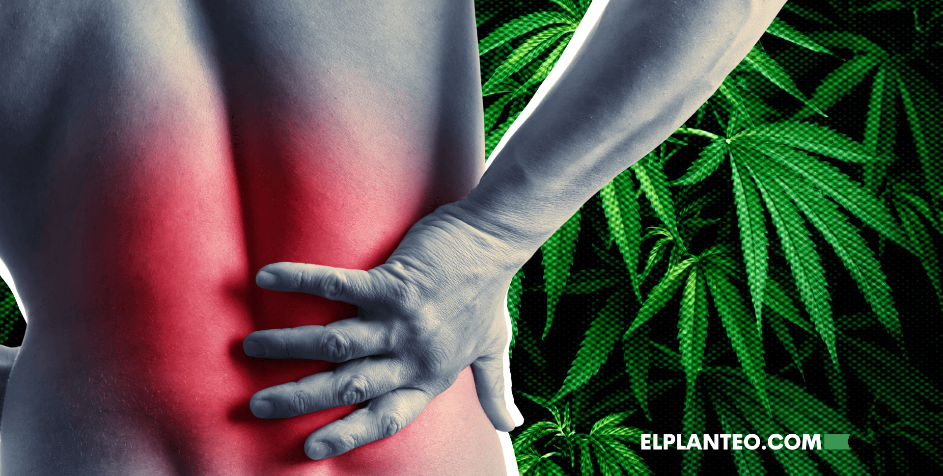 Cannabis Contra el Dolor Lumbar: Otro Estudio lo Posiciona como Alternativa a los Opioides
