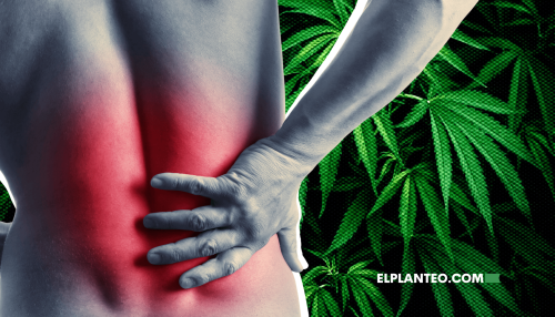 Cannabis Contra el Dolor Lumbar: Otro Estudio lo Posiciona como Alternativa a los Opioides