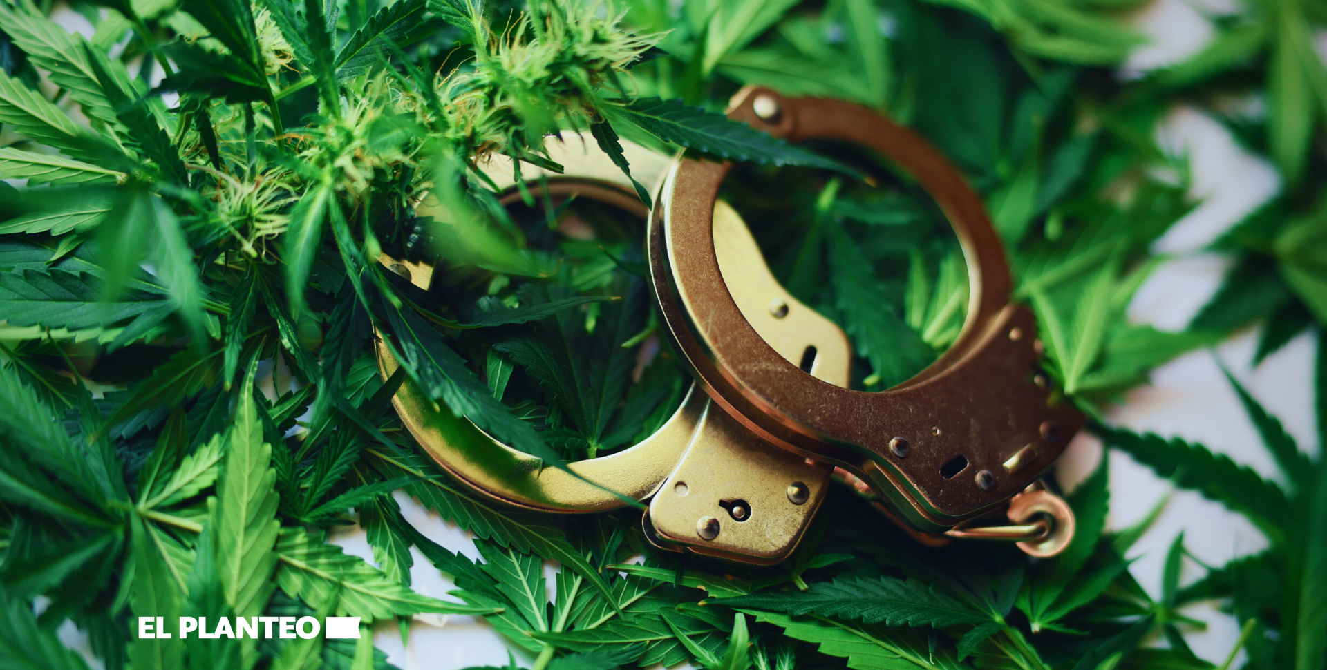 Legalizan Pero Arrestan: Posesión de Marihuana Representa el 20% de los Arrestos por Drogas en EEUU