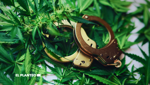 Legalizan Pero Arrestan: Posesión de Marihuana Representa el 20% de los Arrestos por Drogas en EEUU