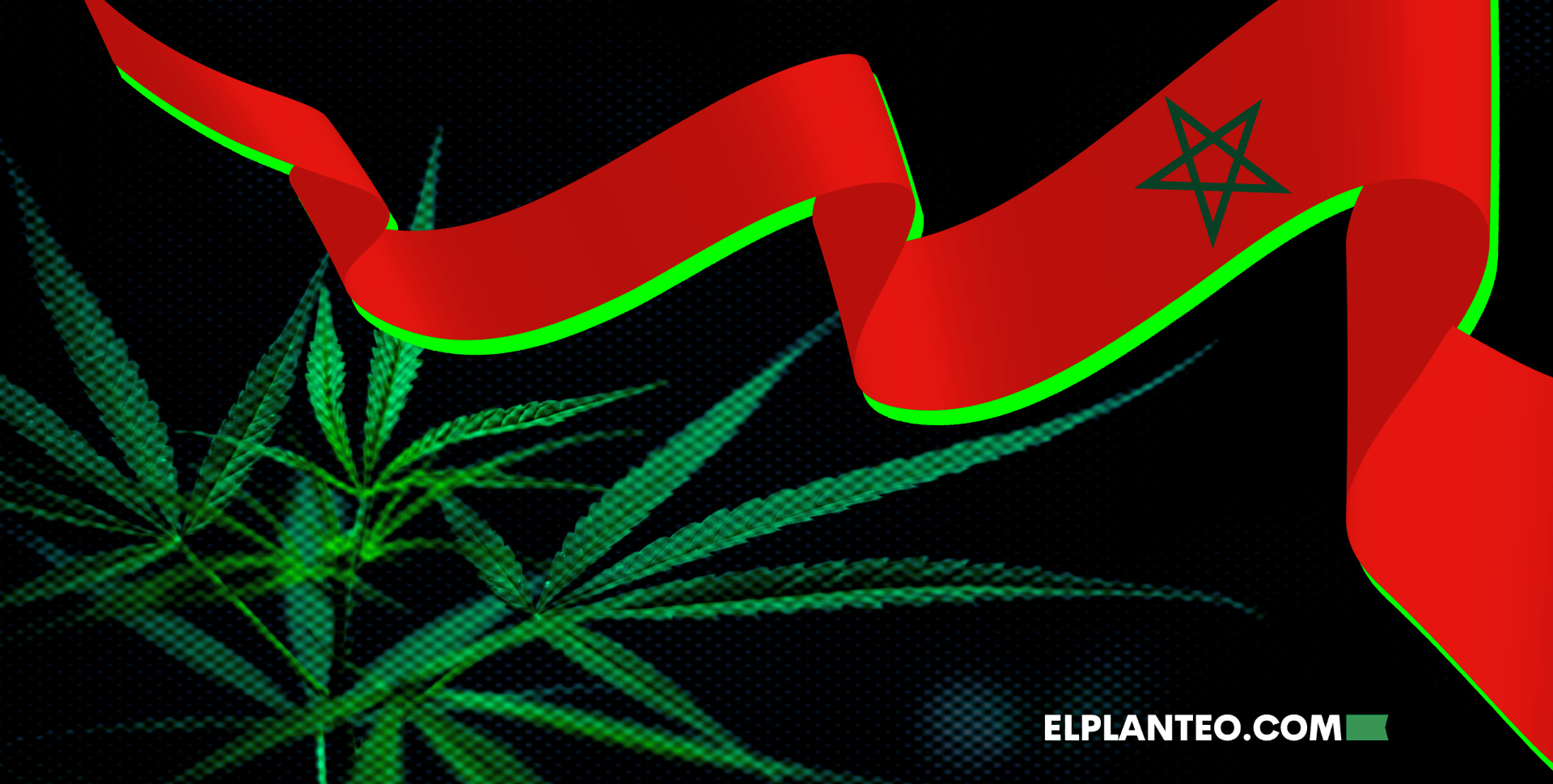 Marruecos Duplicó sus Cultivos Legales de Cannabis: 4.751 Hectáreas en 2025 Marruecos Duplicó sus Cultivos Legales de Cannabis: 4.751 Hectáreas en 2025