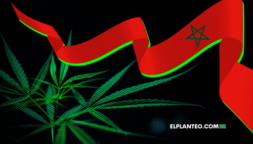 Marruecos Duplicó sus Cultivos Legales de Cannabis: 4.751 Hectáreas en 2025 Marruecos Duplicó sus Cultivos Legales de Cannabis: 4.751 Hectáreas en 2025