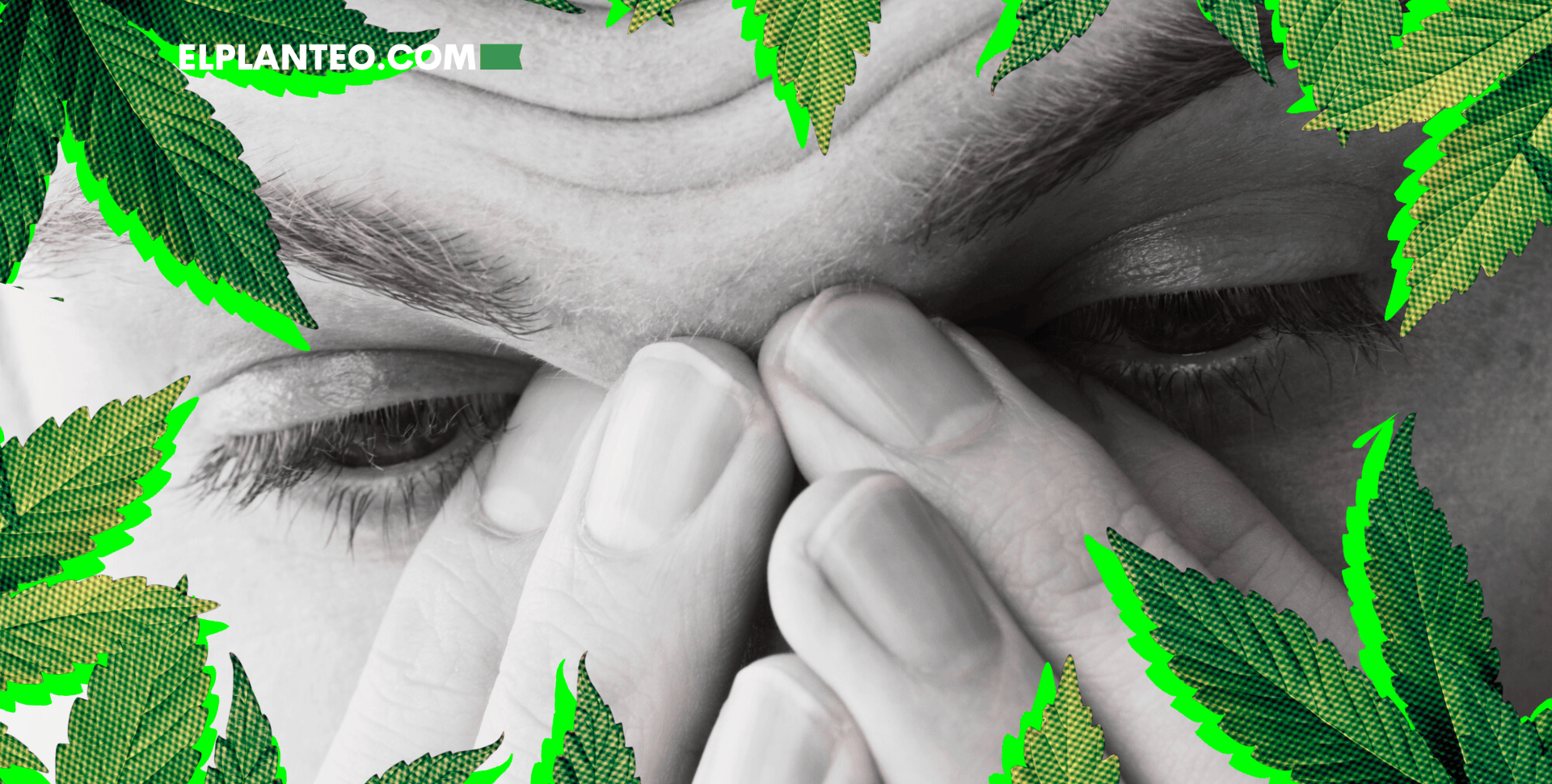 Nuevo Estudio: Menos Sinusitis en Usuarios Frecuentes de Cannabis Nuevo Estudio: Menos Sinusitis en Usuarios Frecuentes de Cannabis