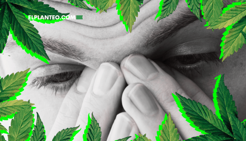 Nuevo Estudio: Menos Sinusitis en Usuarios Frecuentes de Cannabis Nuevo Estudio: Menos Sinusitis en Usuarios Frecuentes de Cannabis
