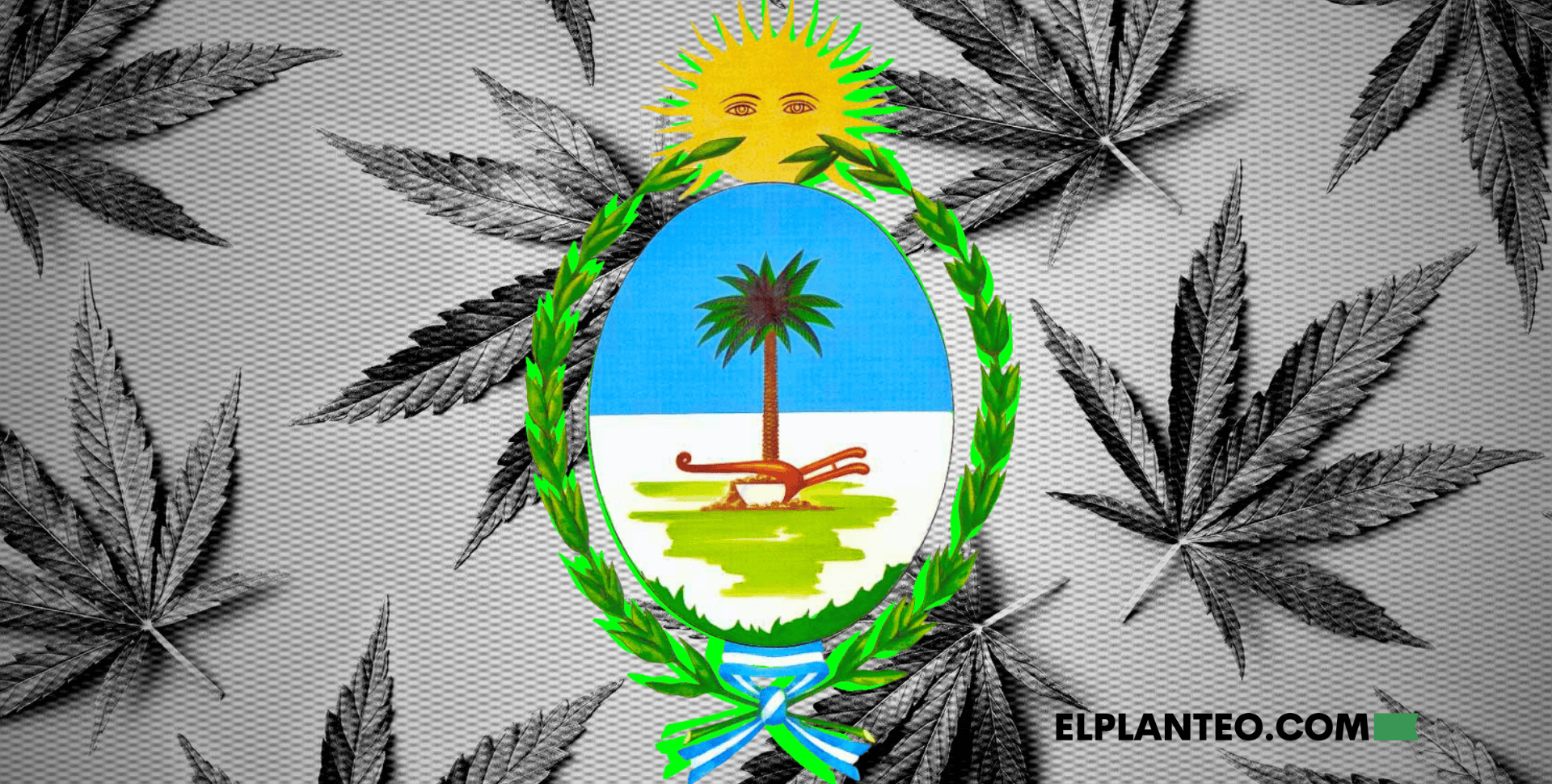 Argentina: Chaco Dice Sí al Cannabis Medicinal y al Cáñamo Industrial, y Crea su Propio Registro, el ReProCCAS