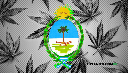 Argentina: Chaco Dice Sí al Cannabis Medicinal y al Cáñamo Industrial Argentina: Chaco Dice Sí al Cannabis Medicinal y al Cáñamo Industrial