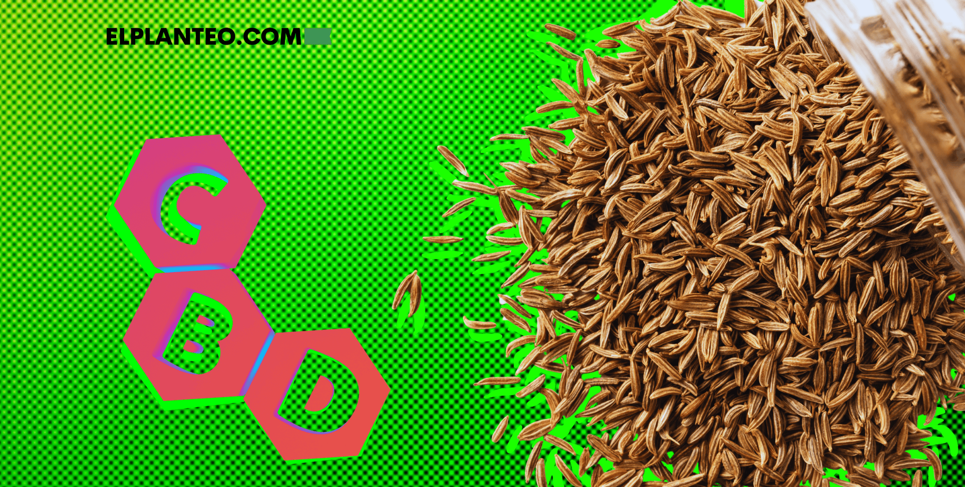 Avance Científico: Logran Replicar CBD a Partir de Semillas de Alcaravea, Sin Marihuana