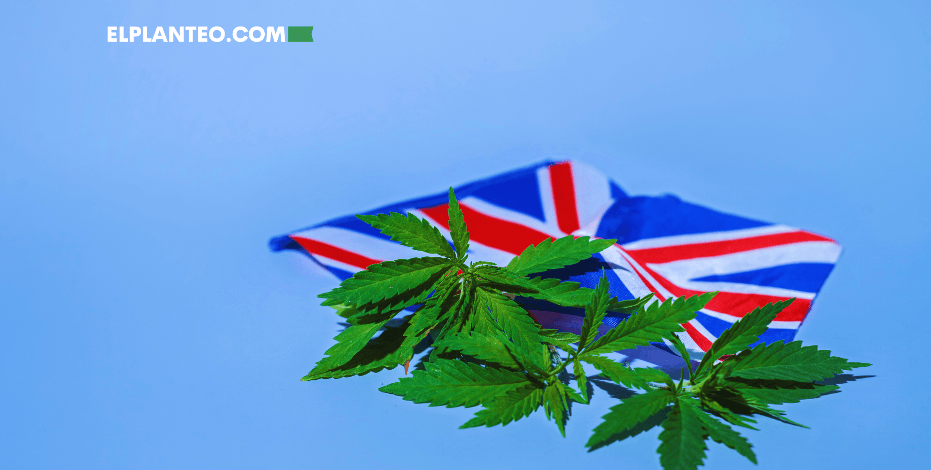 Reino Unido Legalizó el Cannabis Medicinal… Pero se Olvidó de Formar Médicos Reino Unido Legalizó el Cannabis Medicinal… Pero se Olvidó de Formar Médicos