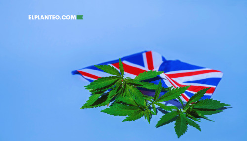 Reino Unido Legalizó el Cannabis Medicinal… Pero se Olvidó de Formar Médicos Reino Unido Legalizó el Cannabis Medicinal… Pero se Olvidó de Formar Médicos