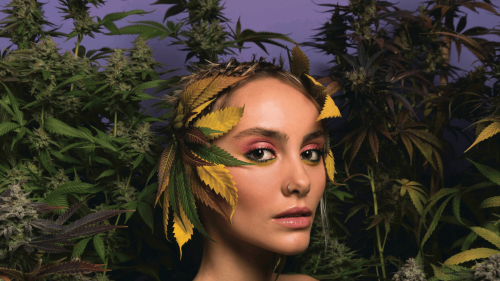 La Fotógrafa de ‘High Times’ que Conquistó al Mundo Presenta su Nueva Serie en Buenos Aires La Fotógrafa de ‘High Times’ que Conquistó al Mundo Presenta su Nueva Serie en Buenos Aires