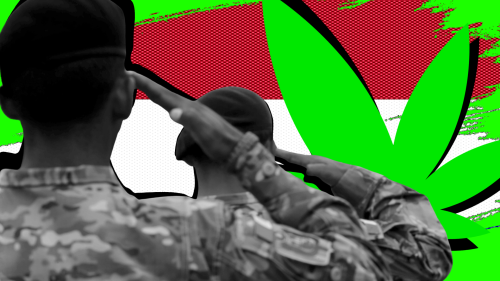 11.000 Efectivos No Lograron Frenar 1 Tonelada de Marihuana que Iba de Paraguay a Brasil