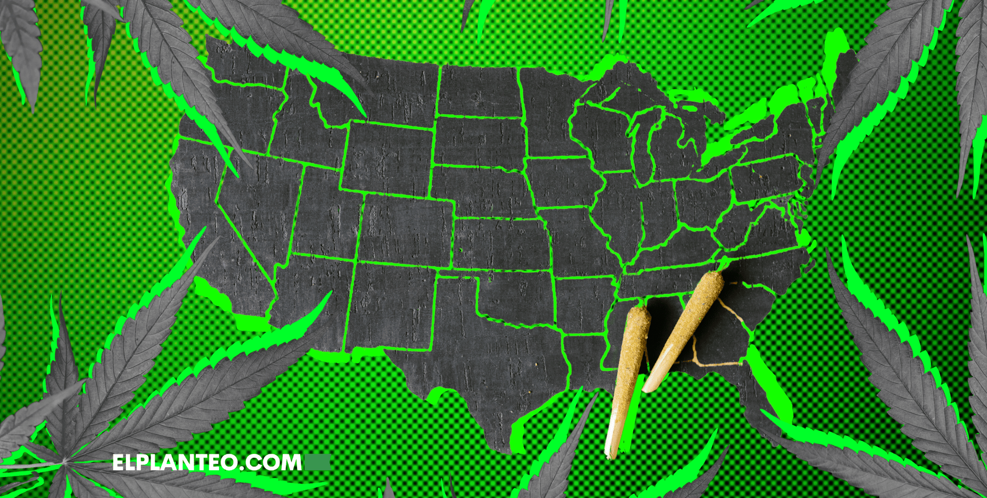 EEUU: ¿Los Estados se Rebelan Contra Trump y su Prohibición al Cáñamo? EEUU: ¿Los Estados se Rebelan Contra Trump y su Prohibición al Cáñamo?