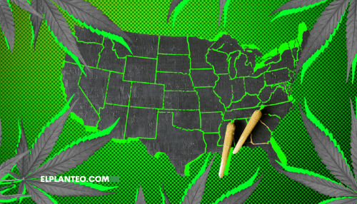 EEUU: ¿Los Estados se Rebelan Contra Trump y su Prohibición al Cáñamo?