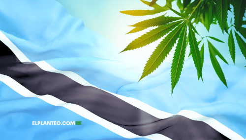 Botswana Entra en su Nueva ‘Era Verde’: Primeras Pruebas de Cultivo de Cannabis