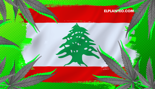 El Líbano Avanza con la Legalización del Cannabis: ¿Solucionará su Crisis Económica? El Líbano Avanza con la Legalización del Cannabis: ¿Solucionará su Crisis Económica?