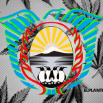 Argentina: Tierra del Fuego Adhiere a Ley Nacional de Cannabis, ¿Qué Dice el Nuevo Decreto?