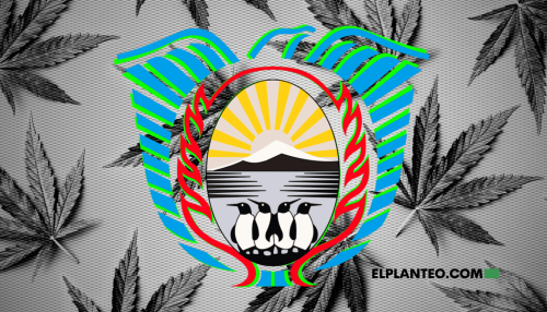 Argentina: Tierra del Fuego Adhiere a Ley Nacional de Cannabis, ¿Qué Dice el Nuevo Decreto? Argentina: Tierra del Fuego Adhiere a Ley Nacional de Cannabis, ¿Qué Dice el Nuevo Decreto?
