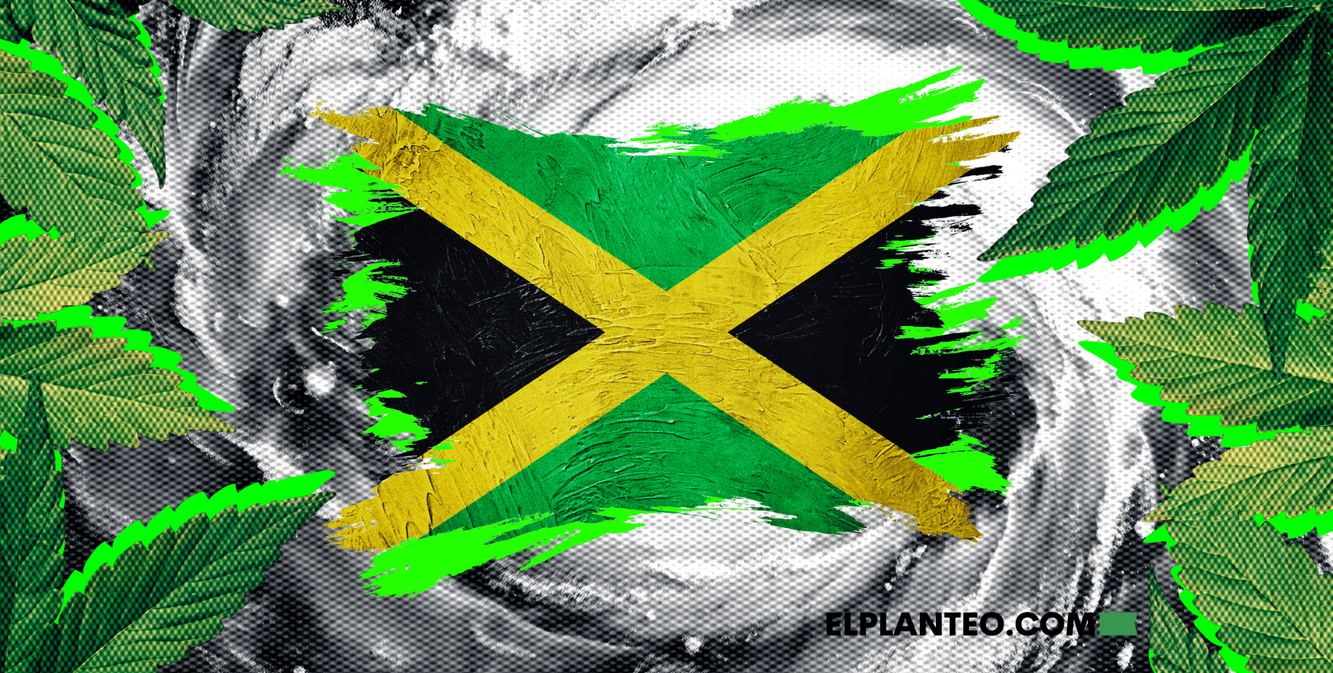 Jamaica: Sin Cannabis por Huracán, Comunidades Rastafari Piden Ayuda Jamaica: Sin Cannabis por Huracán, Comunidades Rastafari Piden Ayuda