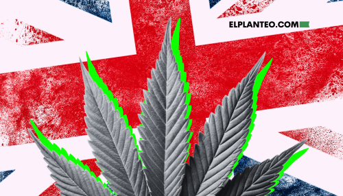 A 7 Años de Cannabis Medicinal Legal en Reino Unido: De Promesas a Datos Reales A 7 Años de Cannabis Medicinal Legal en Reino Unido: De Promesas a Datos Reales