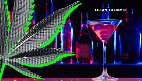 Científicos Convierten un Laboratorio en un Bar con Porro y Alcohol Para Probar la Teoría del ‘Cali Sober’