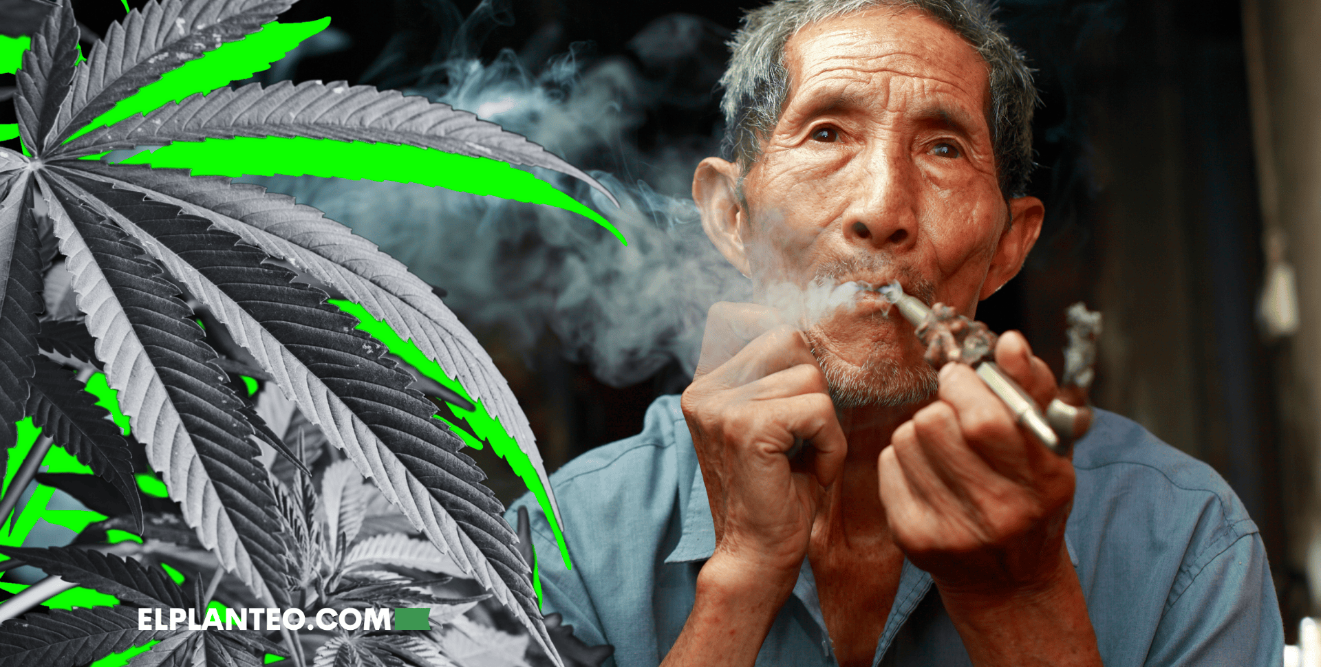 ¿Cómo Afecta el Cannabis a las Personas Mayores? Mejor Cognición y Menos Exceso de Alcohol, según Nuevos Estudios ¿Cómo Afecta el Cannabis a las Personas Mayores? Mejor Cognición y Menos Exceso de Alcohol, según Nuevos Estudios