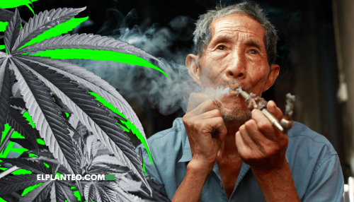 ¿Cómo Afecta el Cannabis a las Personas Mayores? Mejor Cognición y Menos Exceso de Alcohol, según Nuevos Estudios ¿Cómo Afecta el Cannabis a las Personas Mayores? Mejor Cognición y Menos Exceso de Alcohol, según Nuevos Estudios