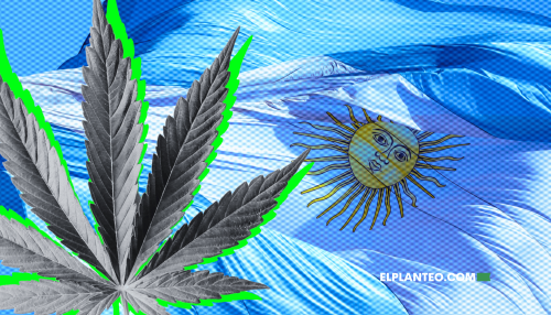 Actualización del REPROCANN: Trámites Pendientes Reiniciables y Módulo para ONGs