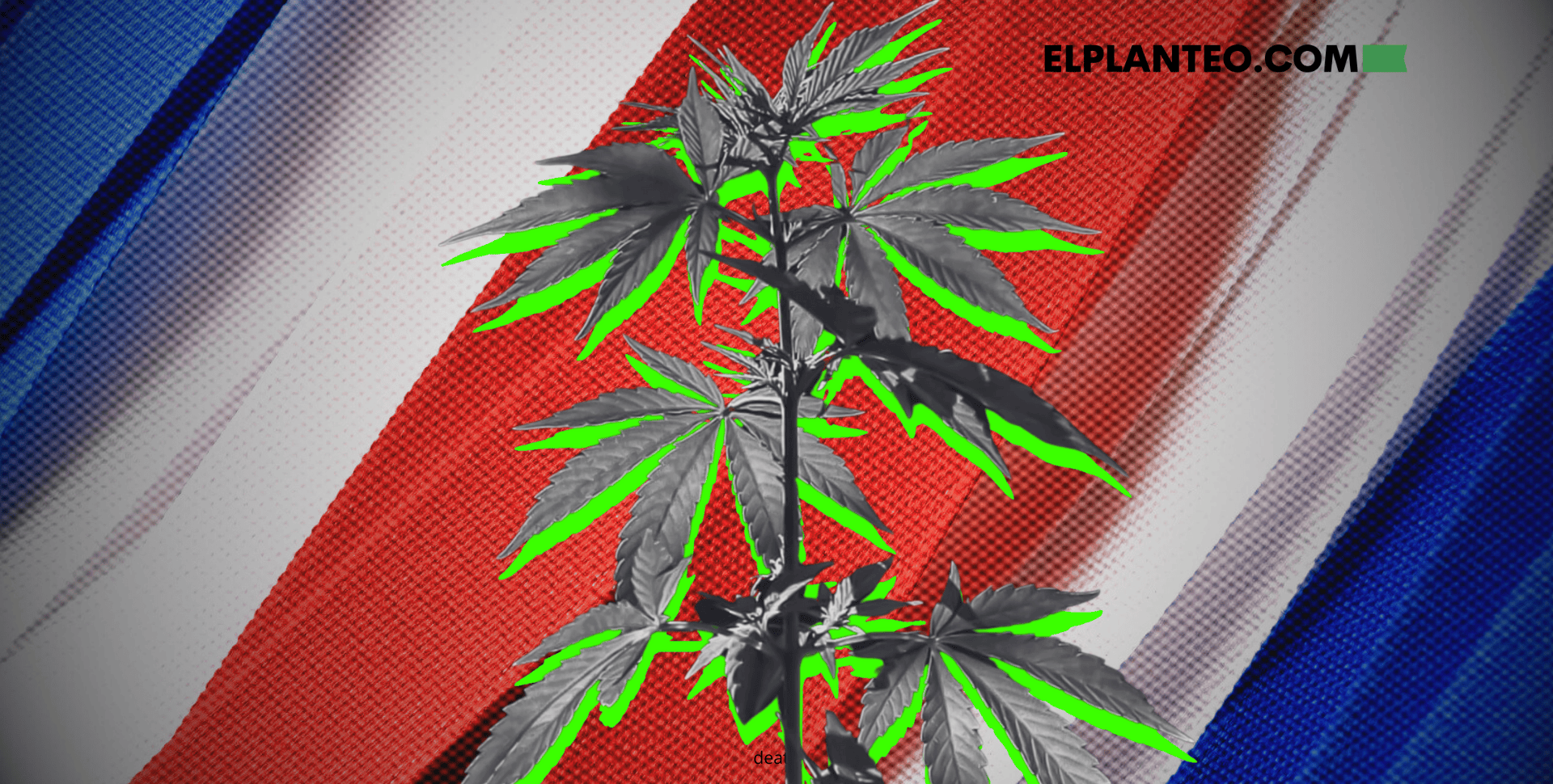 Tres Candidatos Quieren Cannabis de Uso Adulto Legal en Costa Rica: ¿Se Puede? Tres Candidatos Quieren Cannabis de Uso Adulto Legal en Costa Rica: ¿Se Puede?