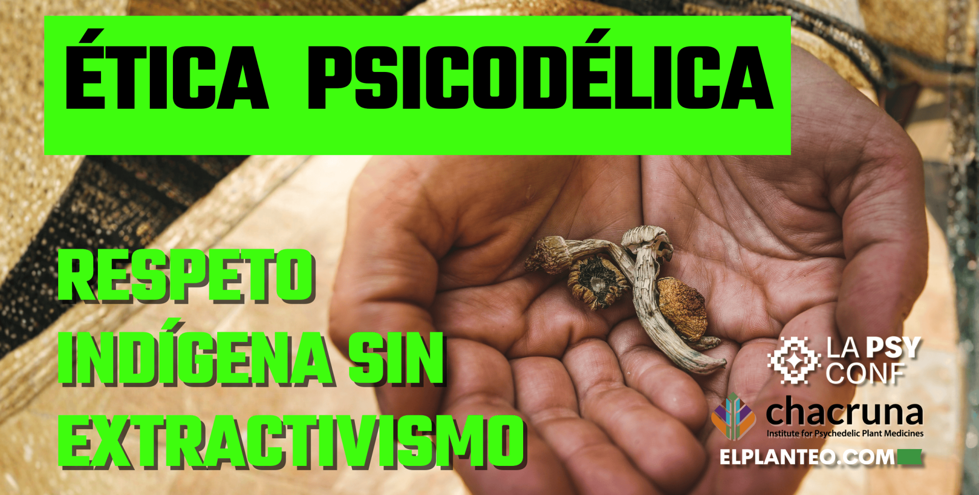 ‘No Podemos Tomar a los Pueblos Indígenas Solo por sus Plantas Sagradas’: Osiris García Cerqueda