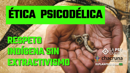 ‘No Podemos Tomar a los Pueblos Indígenas Solo por sus Plantas Sagradas’: Osiris García Cerqueda