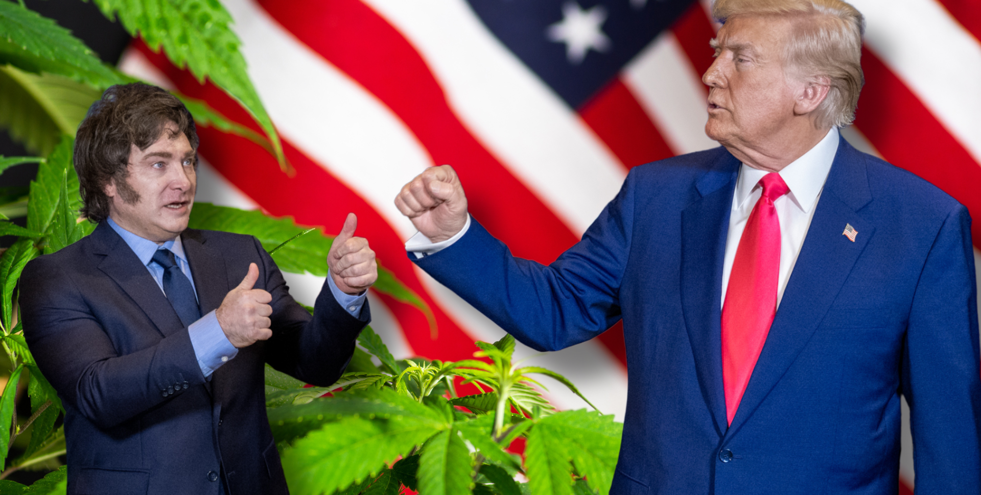 ¿Argentina Debería ‘Imitar’ a EEUU en la Reclasificación del Cannabis? Suena Bien, Pero No Es por Ahí ¿Argentina Debería ‘Imitar’ a EEUU en la Reclasificación del Cannabis? Suena Bien, Pero No Es por Ahí