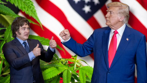 ¿Argentina Debería ‘Imitar’ a EEUU en la Reclasificación del Cannabis? Suena Bien, Pero No Es por Ahí ¿Argentina Debería ‘Imitar’ a EEUU en la Reclasificación del Cannabis? Suena Bien, Pero No Es por Ahí