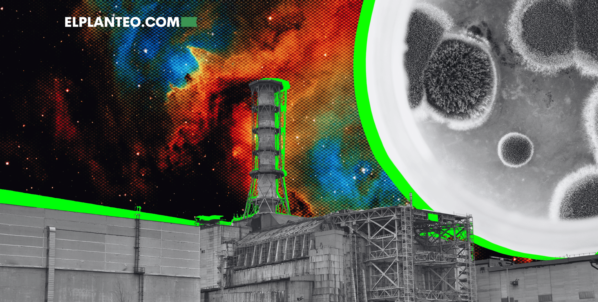 El Hongo de Chernobyl que se ‘Come la Radiación’… ¿Podría Usarse para Viajes Espaciales? El Hongo de Chernobyl que se ‘Come la Radiación’… ¿Podría Usarse para Viajes Espaciales?