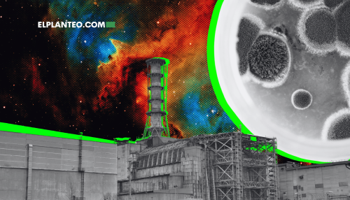 El Hongo de Chernobyl que se ‘Come la Radiación’… ¿Podría Usarse para Viajes Espaciales?