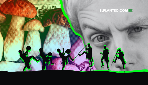 ¿Un Hongo que te Hace Ver Hadas y Criaturas Diminutas? Así Son los Lanmaoa Asiatica, un Misterio Intercultural ¿Un Hongo que te Hace Ver Hadas y Criaturas Diminutas? Así Son los Lanmaoa Asiatica, un Misterio Intercultural