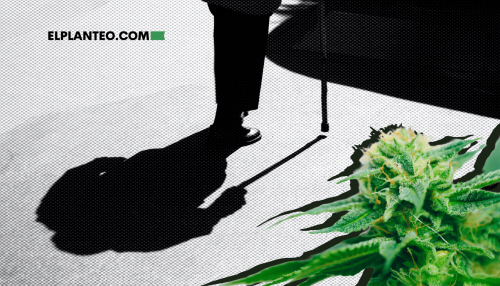 Suicidio en la Vejez: El Rol Inesperado del Cannabis de Uso Adulto