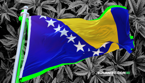 Bosnia y Herzegovina Legaliza el Cannabis Medicinal: Qué Cambia y Qué Falta Bosnia y Herzegovina Legaliza el Cannabis Medicinal: Qué Cambia y Qué Falta