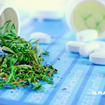 Nueva York: El Cannabis Medicinal Podría Reducir el Consumo de Opioides en un 22%