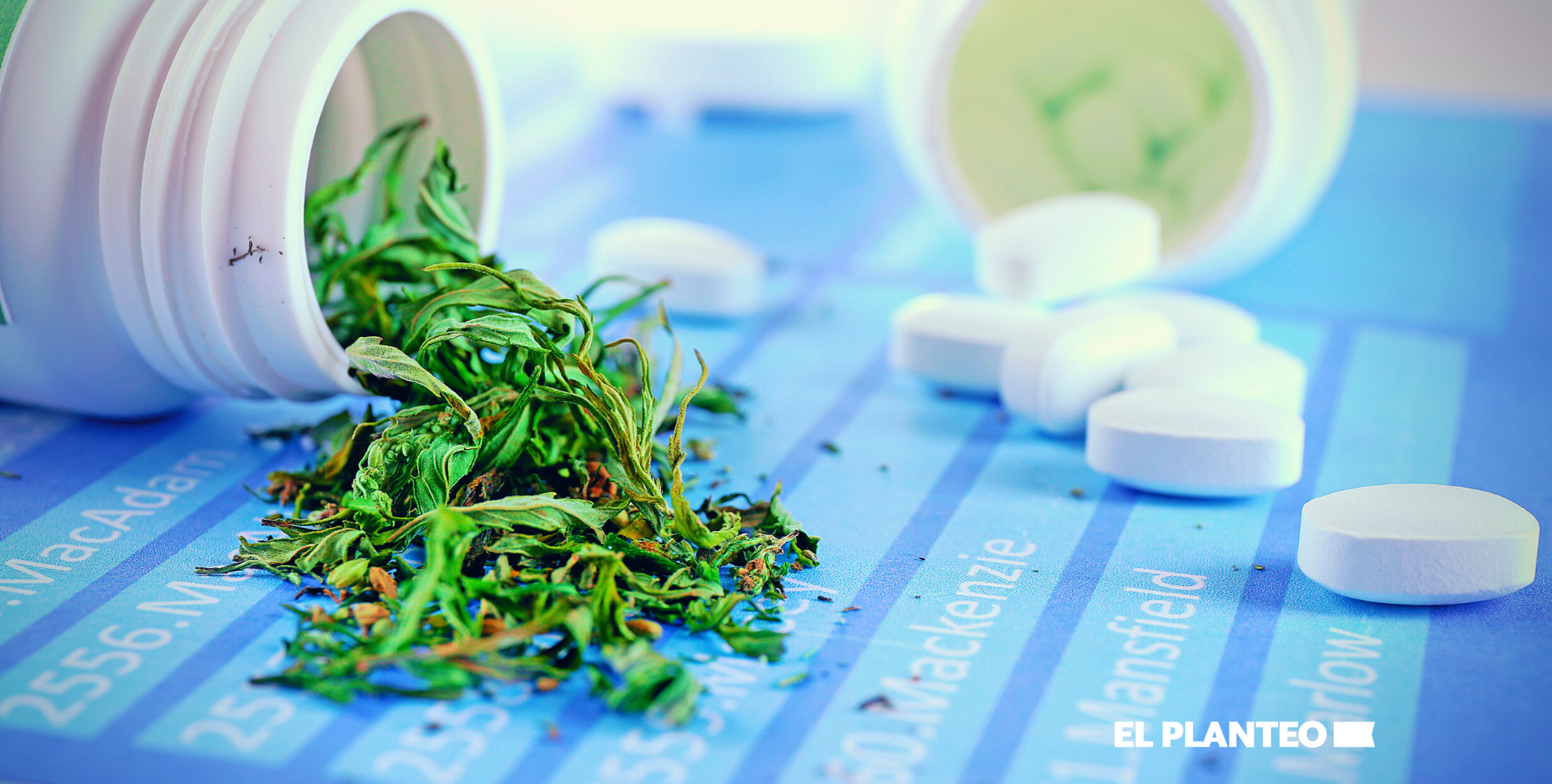 Nueva York: El Cannabis Medicinal Podría Reducir el Consumo de Opioides en un 22% Nueva York: El Cannabis Medicinal Podría Reducir el Consumo de Opioides en un 22%