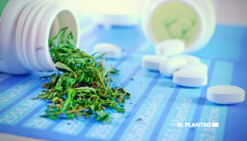 Nueva York: El Cannabis Medicinal Podría Reducir el Consumo de Opioides en un 22% Nueva York: El Cannabis Medicinal Podría Reducir el Consumo de Opioides en un 22%