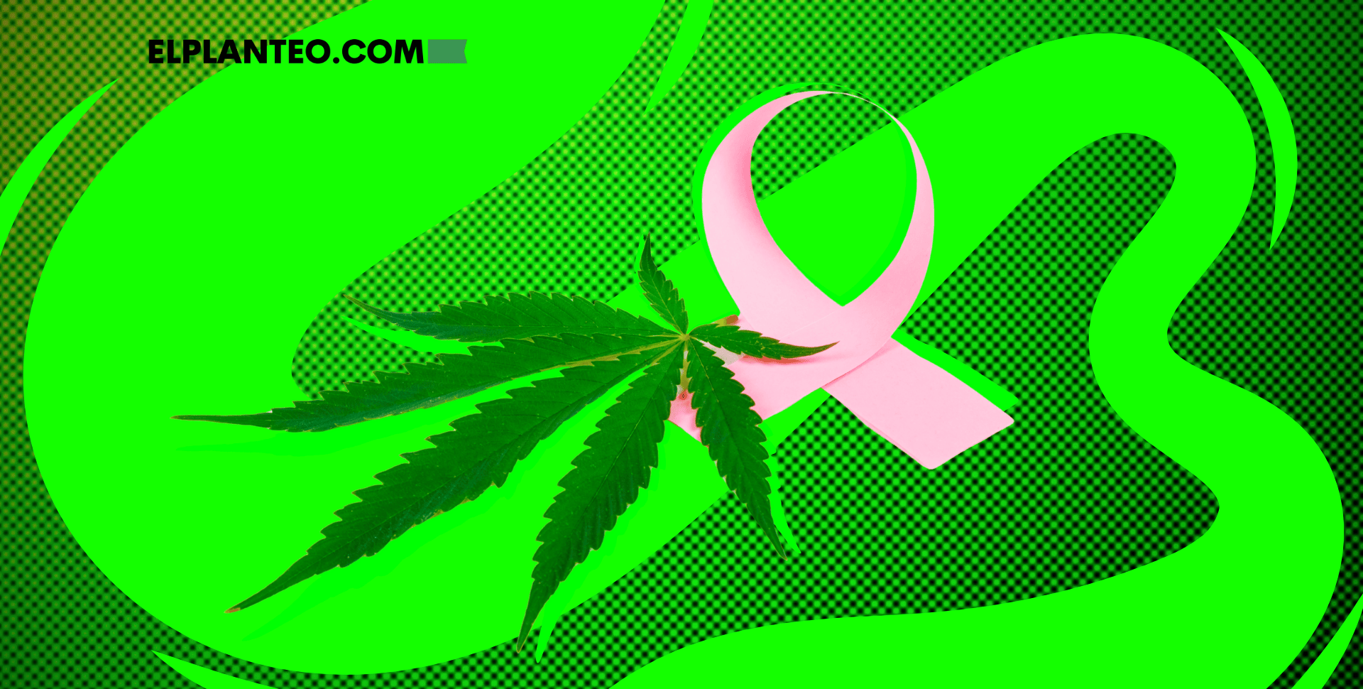 El Cannabis Podría Ayudar a Tratar el Cáncer de Ovario: Nuevo Estudio Brinda Esperanzas El Cannabis Podría Ayudar a Tratar el Cáncer de Ovario: Nuevo Estudio Brinda Esperanzas