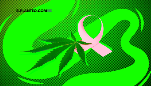 El Cannabis Podría Ayudar a Tratar el Cáncer de Ovario: Nuevo Estudio Brinda Esperanzas El Cannabis Podría Ayudar a Tratar el Cáncer de Ovario: Nuevo Estudio Brinda Esperanzas
